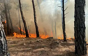 İki ilçede arka arkaya yangın alarmı