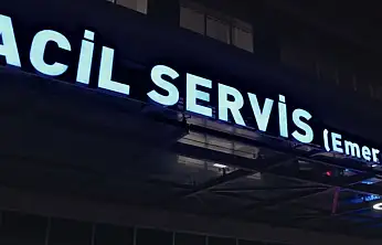 İnek boynuzuyla yaralandı