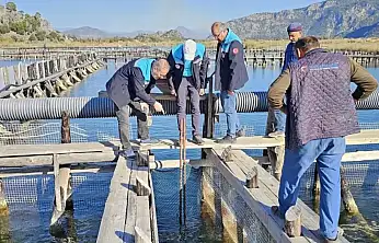 Kaçak av araçlarına el konuldu