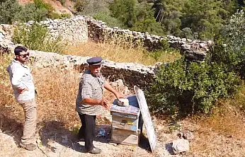 Kadim arıcılık geleneği hayat buluyor