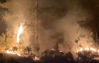 Orman yangını kontrol altına alındı