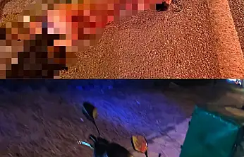 Köpeğe çarpan motosiklet sürücüsü yaralandı