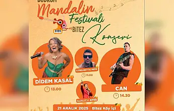 Mandalina Festivali Başlıyor
