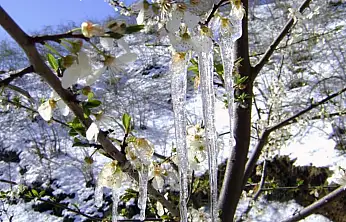 Meteoroloji'den Muğla ve çevresi İçin don uyarısı