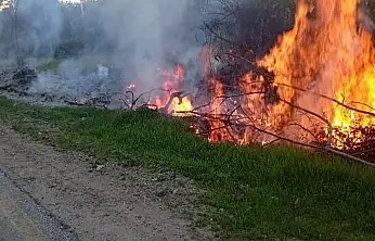 Milas'taki orman yangınları büyümeden söndürüldü