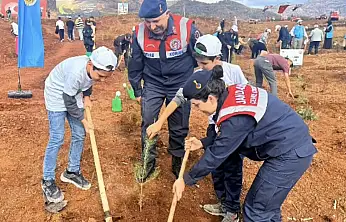 Muğla Jandarması operasyonlarda 59 şüpheliyi yakaladı 17'si tutuklandı