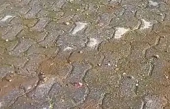 MUSKİ'nin vurdumduymazlığı