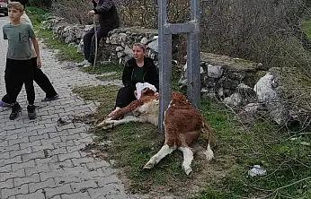 Nefes kesen kurtarma