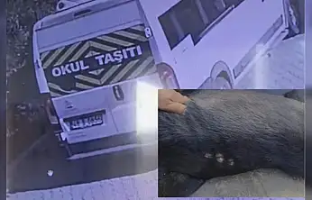 Okul servisi köpeğe çarptı o anlar kamerada