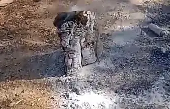 Orman yangınına davetiye ateşi söndürmeden gittiler