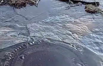 Pis su denize akıyor, koku sahili sardı!