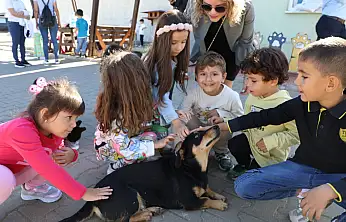 Sıcacık yuvaya kavuşan canlar