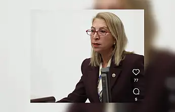 Süreyya Öneş Derici TBMM'de Muğla'nın sorunlarını gündeme taşıdı