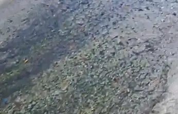 Süslü laf çok, çözüm yok