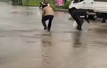 Taşan göletteki balıklar yola saçıldı