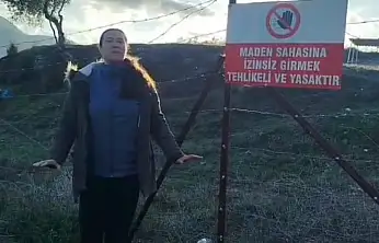 Toprak zeytin ve direniş