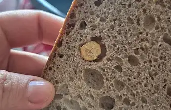 Turgutreis'te ekmekten nohut çıktı, aile denetim çağrısı yaptı