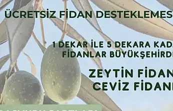 Üreticiye ücretsiz fidan desteği