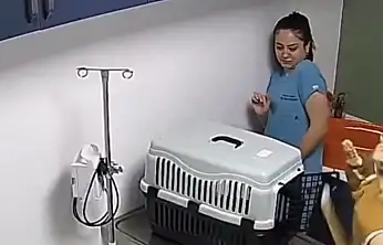 Veterinerde hareketli anlar