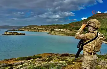 Yerlikaya'dan açıklama 171 yakalama