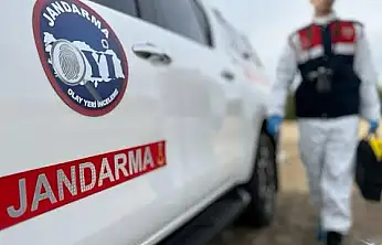 Zeytin ağacından düşen vatandaş hayatını kaybetti