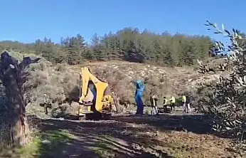 Zeytinlik tartışması büyüyor