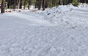 Zirveler beyaz sahiller güneşli