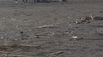 Parçalanmış erkek cesedi bulundu