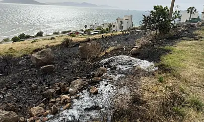 Elektrik Telleri Yangın Çıkardı: Müdahale Sürüyor