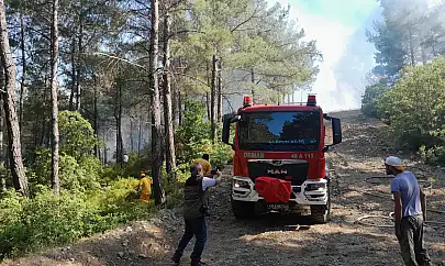 Helikopter ve uçaklarla orman yangınına karşı seferberlik