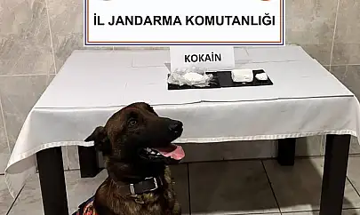 Jandarmanın yol kontrolünde kokain taşıyan yolcu yakalandı