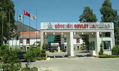 Köpek Saldırısında Ağır Yaralanan Çocuk Hastaneye Kaldırıldı