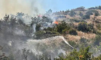 Makilik alandaki yangına ekipler anında müdahale etti
