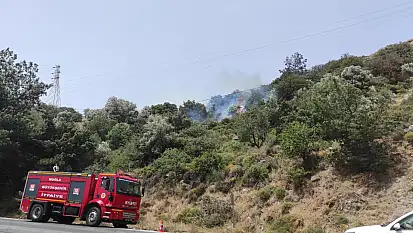 Dağbelen Değirmenler Mevkiinde Otluk ve Ağaçlık Alan Alevlere Teslim