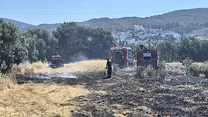 Develer için ot yetiştirilen arazi yandı