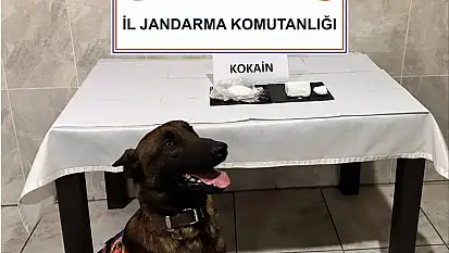 Jandarmanın yol kontrolünde kokain taşıyan yolcu yakalandı
