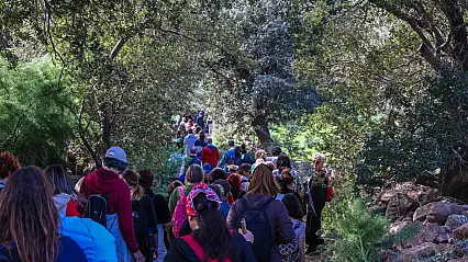 Bodrum'da tarih ve doğa yürüyüşü