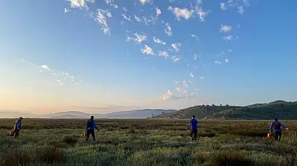 Büyükşehir'den sivrisineğe bilimsel müdahale