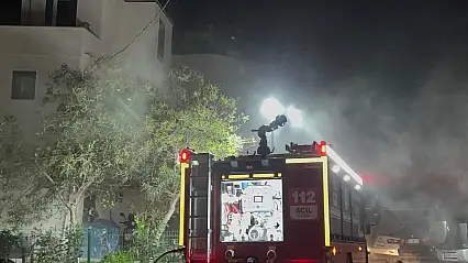 Dumanlar evi kapladı kadın ve iki köpek kurtarıldı