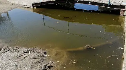 Gümbet'te utandıran manzara, turizmin kalbi pisliğe teslim edildi!