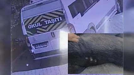 Okul servisi köpeğe çarptı o anlar kamerada