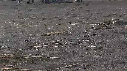 Parçalanmış erkek cesedi bulundu