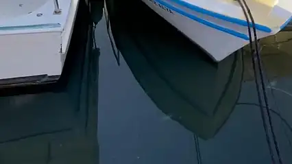 Sevgililer günü etkinliğinde şok manzara