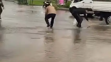 Taşan göletteki balıklar yola saçıldı