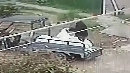 Turgutreis'te pes dedirten görüntü molozları caddeye bırakıp kaçtı