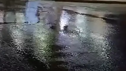 Defalarca bildirdik, kimse gelmedi iddiası