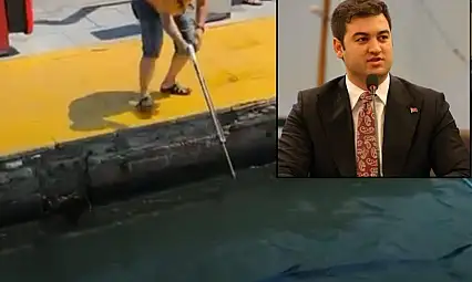 Mavi yelken balığı katliamına Başkan'dan sert tepki !