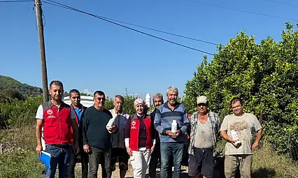 Narenciye bahçelerini zararlılardan koruma seferberliği