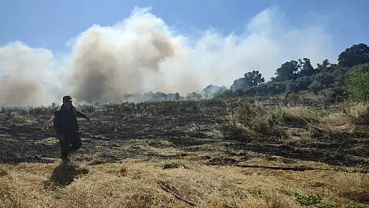 Develer için ot yetiştirilen arazi yandı