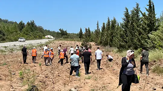 Aile Yılı'nda Anlamlı Buluşma: Fidanlar Anneler İçin Dikildi